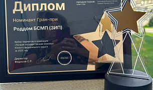 Роддом краевой БСМП получил Гран-при от ПроДокторов